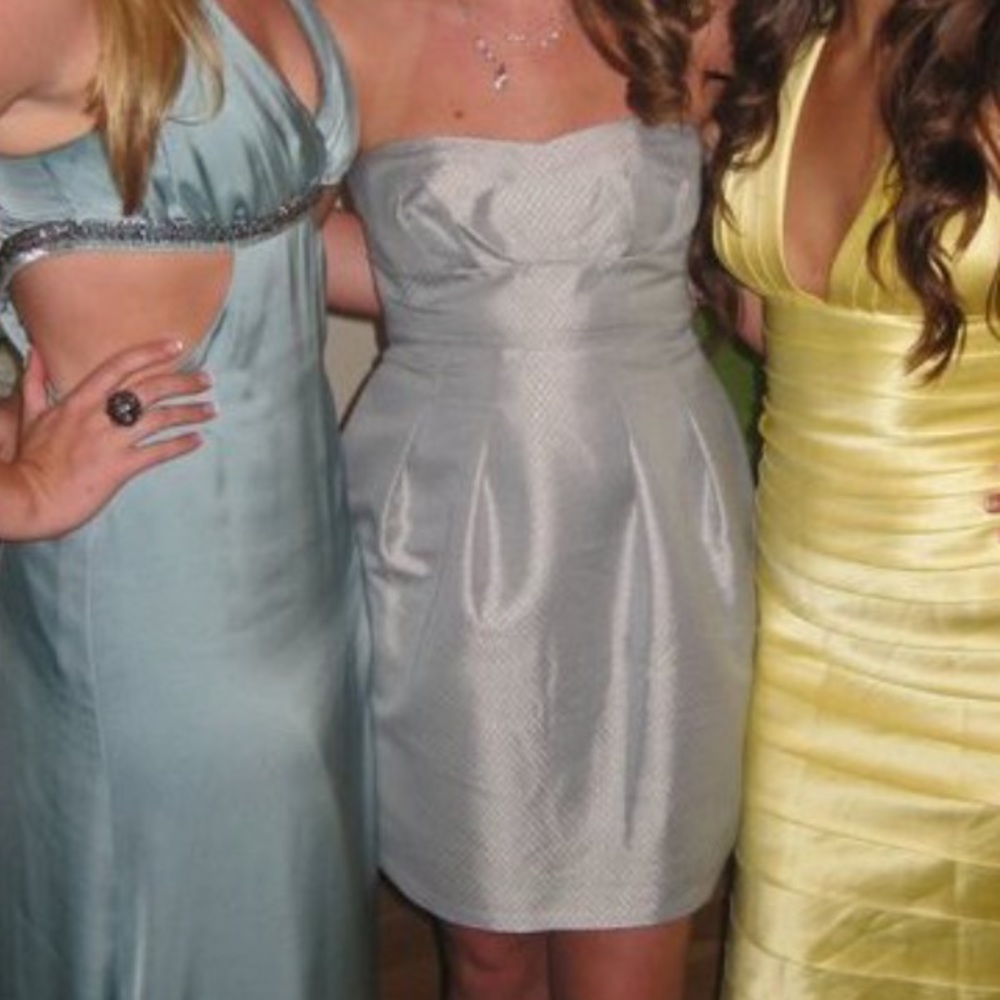 🎉 Sale | Silver BCBG MaxAzria Cocktail Dress